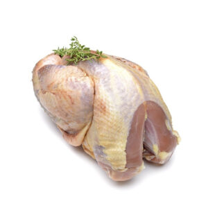 FAZANT HEN HEEL