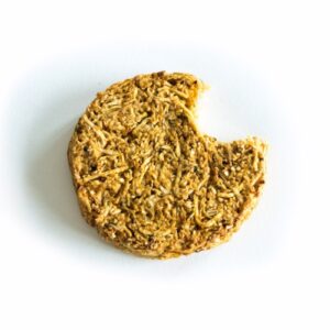 FENNEL BURGER VEGAN