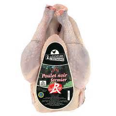 POULET NOIR ZWARTPOOT KIP