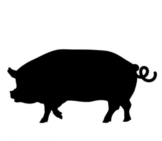 Varken